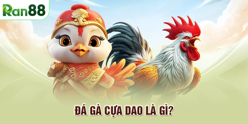 Đá gà cựa dao: Tìm hiểu lý do tại sao trò chơi này lại hot đến vậy 1 Đá gà cựa dao là gì?