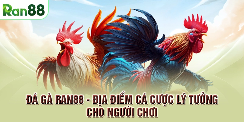 đá gà ran88